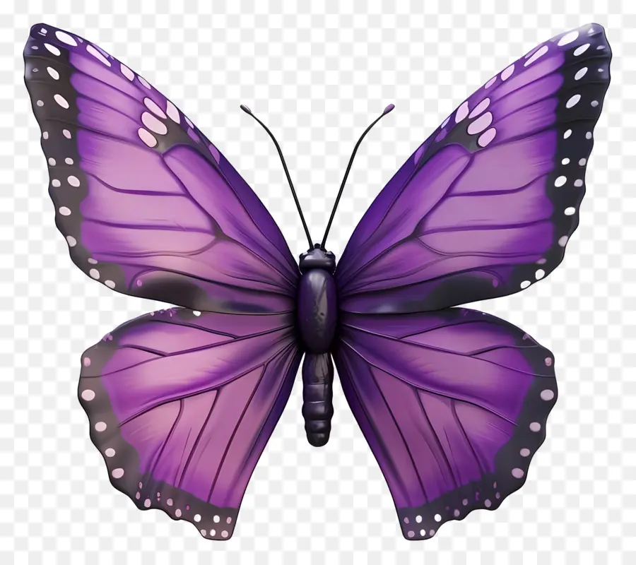 Mariposa Morada，Alas PNG