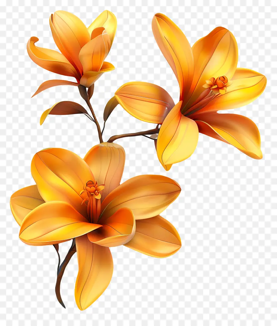 Flores De Azafrán，Flores PNG