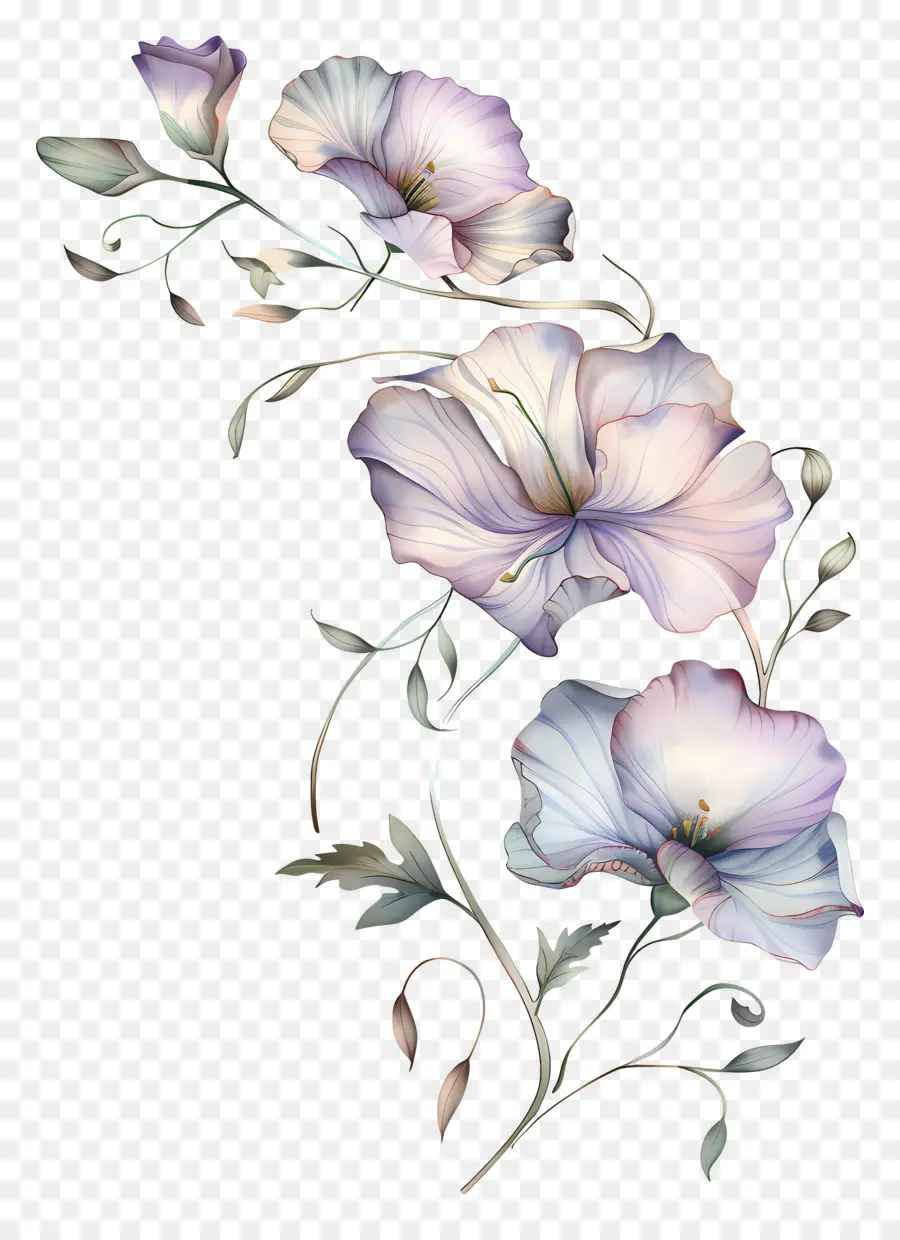 Flores Pastel，Diseño Floral PNG