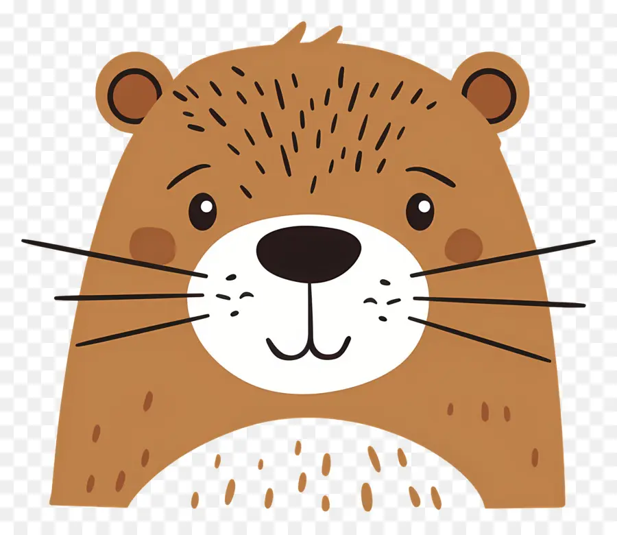 Cara De Castor，Nutria Linda PNG