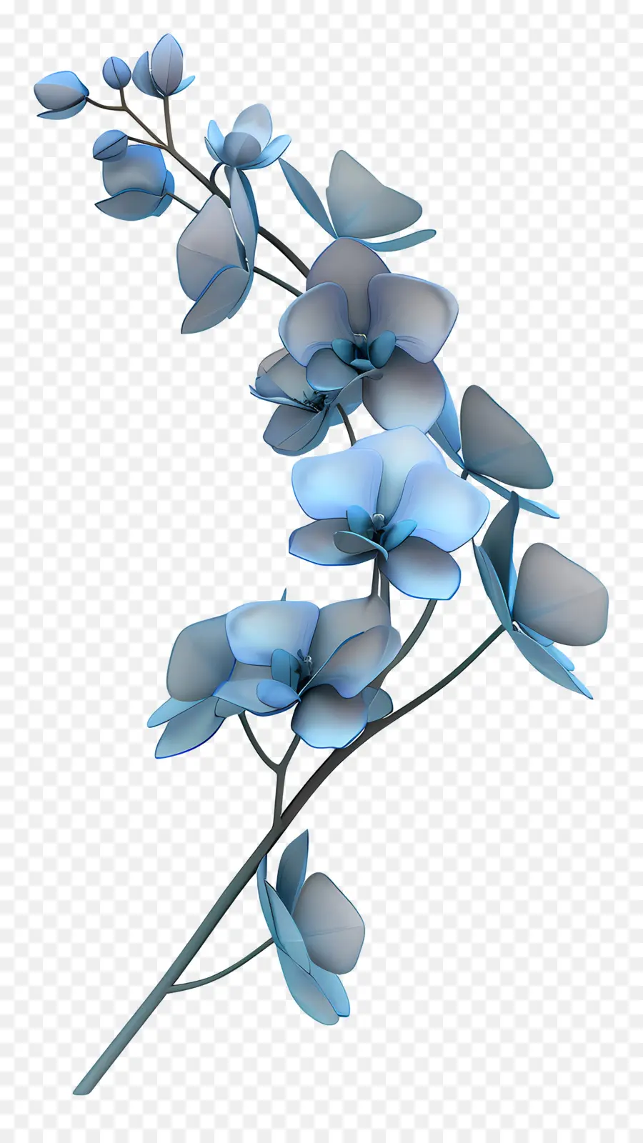 Orquídea Azul，Flores Azules PNG