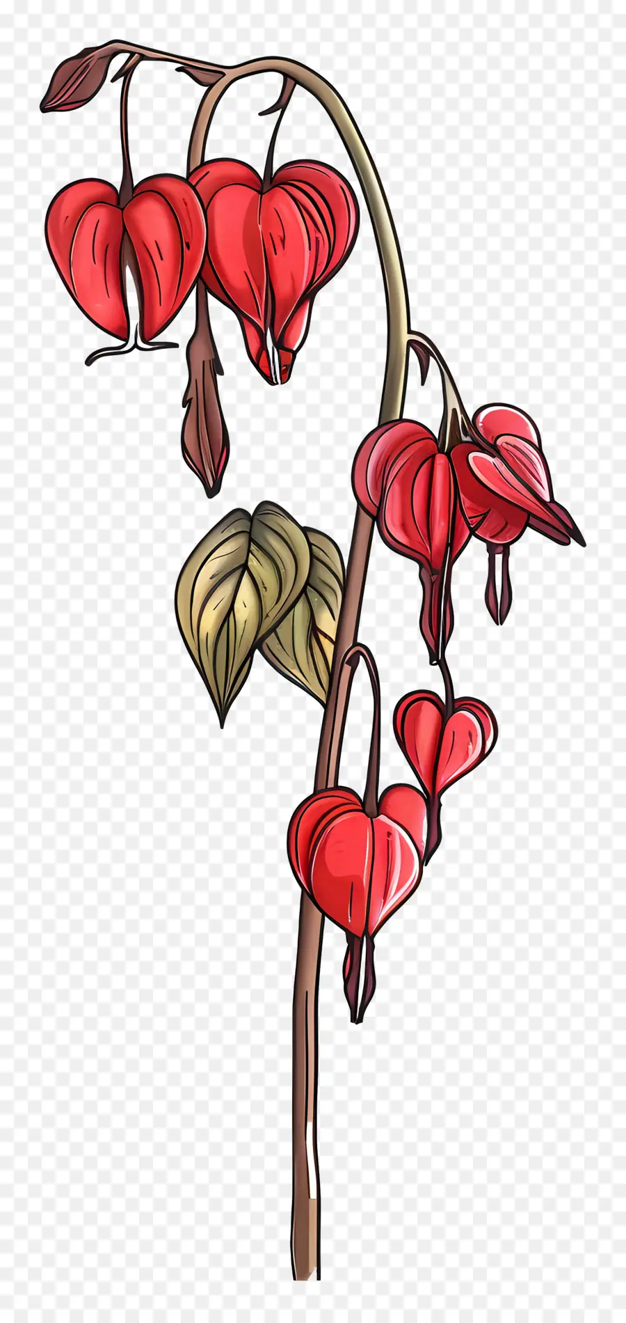 Flores Del Corazón Sangrante，Flor Del Corazón Sangrante PNG