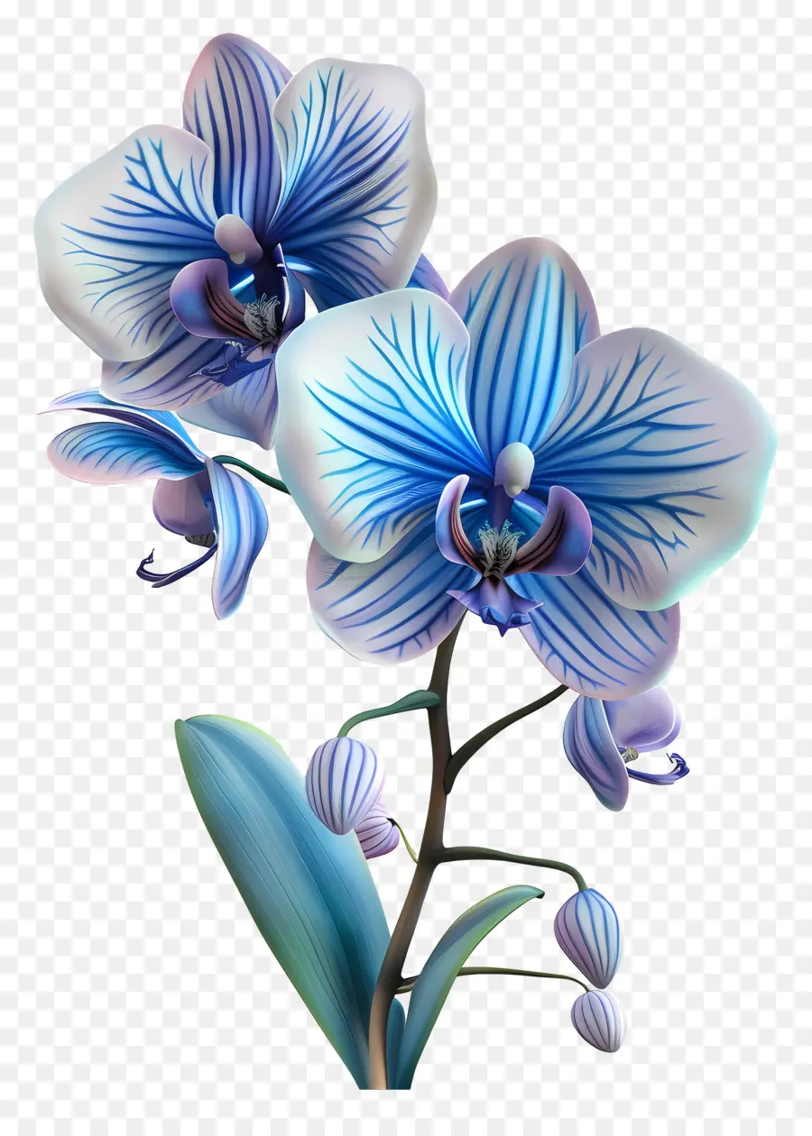 Orquídea Azul，Pétalos PNG