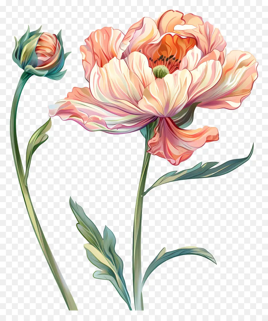 Flores Pastel，Flor PNG