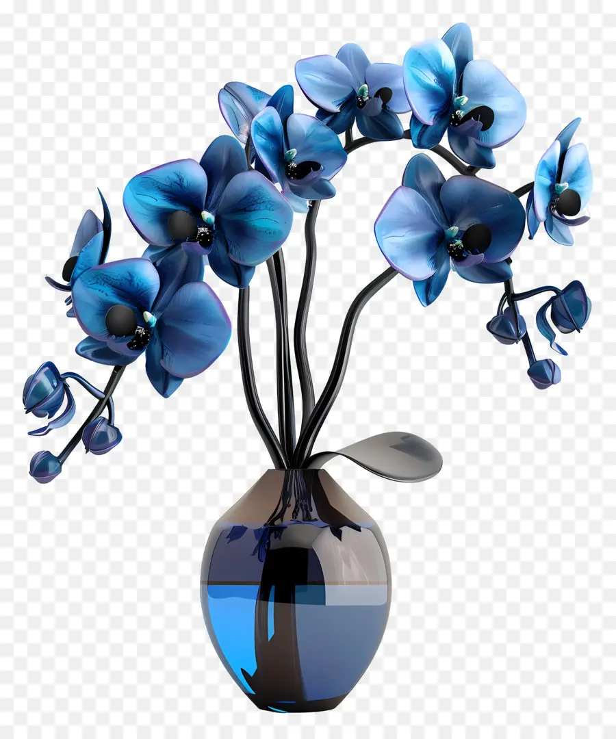 Orquídea Azul，Orquídeas Azules PNG