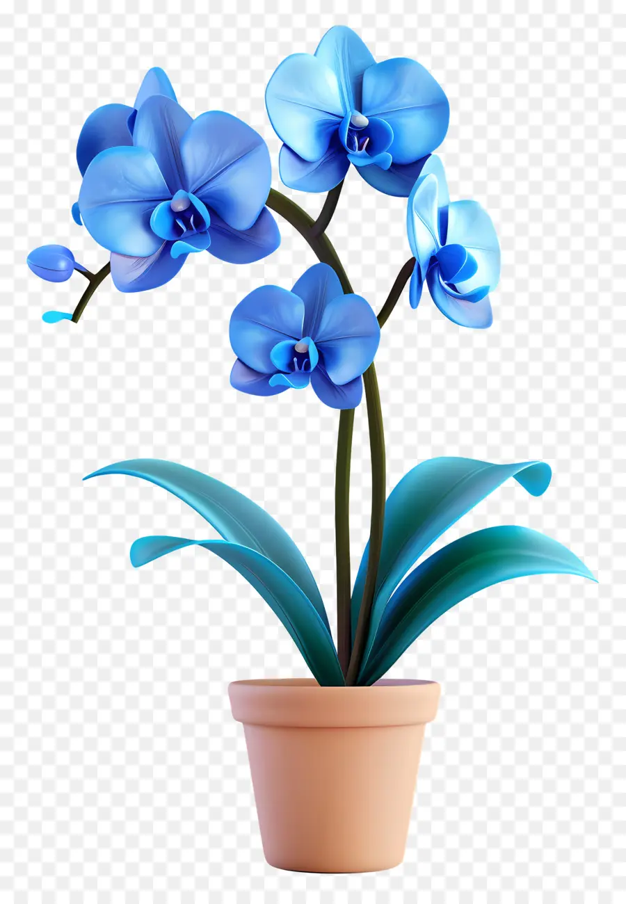 Orquídea Azul，Orquídea En Maceta PNG