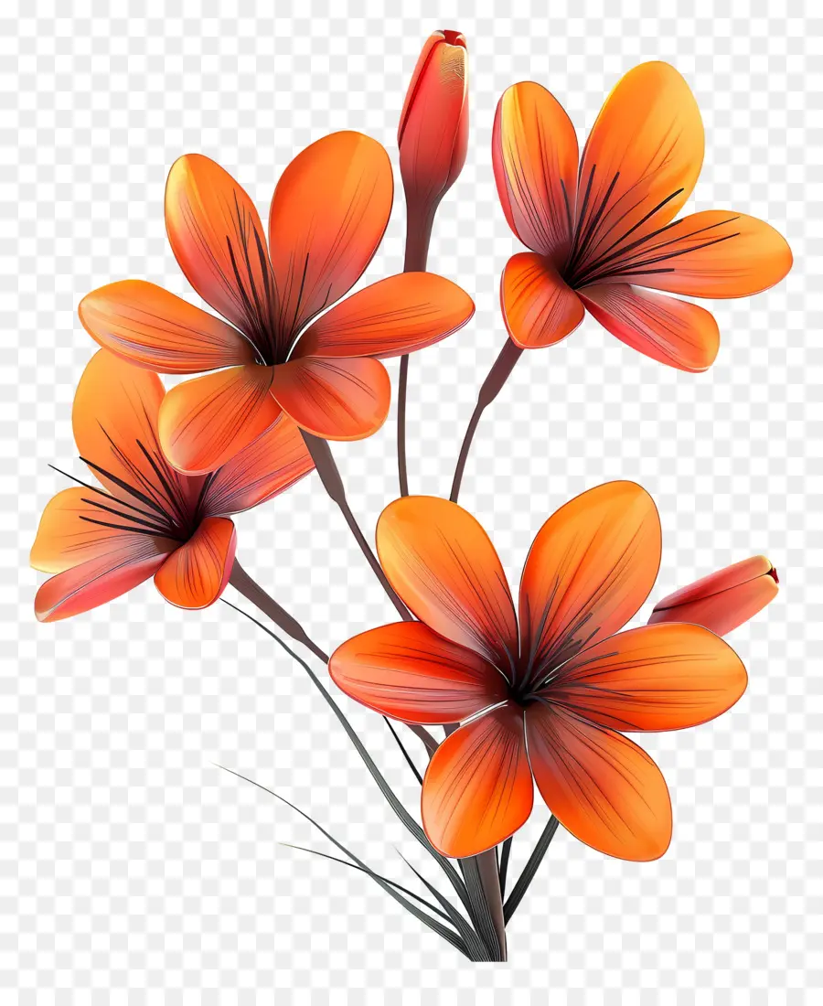 Flores De Azafrán，Flores De Naranja PNG