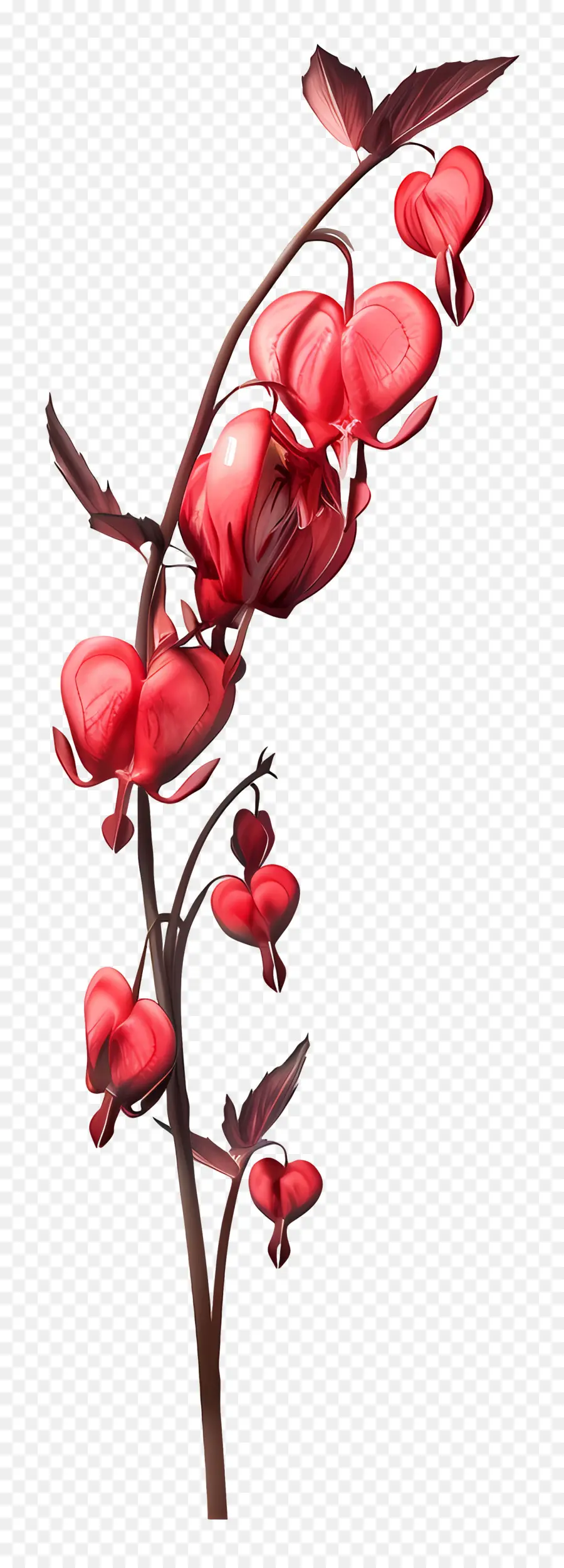 Flores Del Corazón Sangrante，Flores Rojas PNG