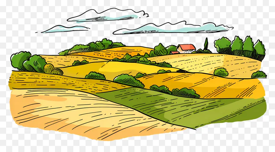 Paisaje De Tierras De Cultivo，Campos De Campo PNG