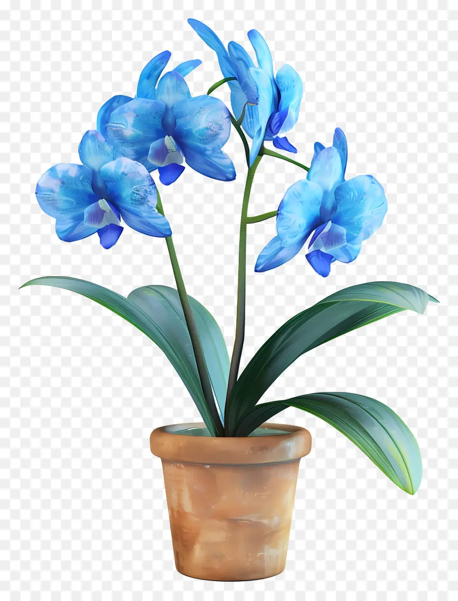 Orquídea Azul，Orquídea En Maceta PNG