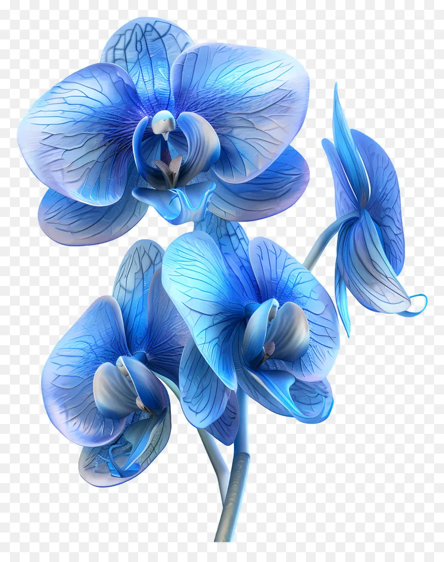 Orquídea Azul，Pétalos PNG