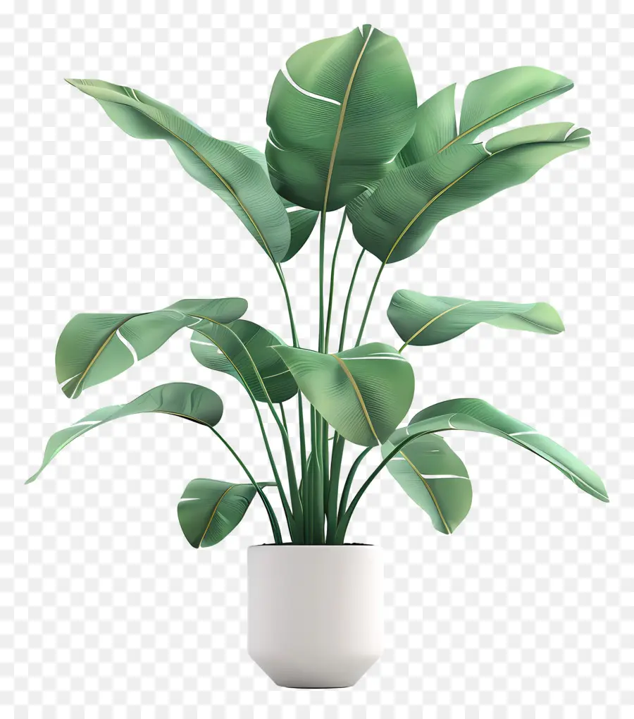 Planta Tropical En Maceta，Planta En Maceta PNG