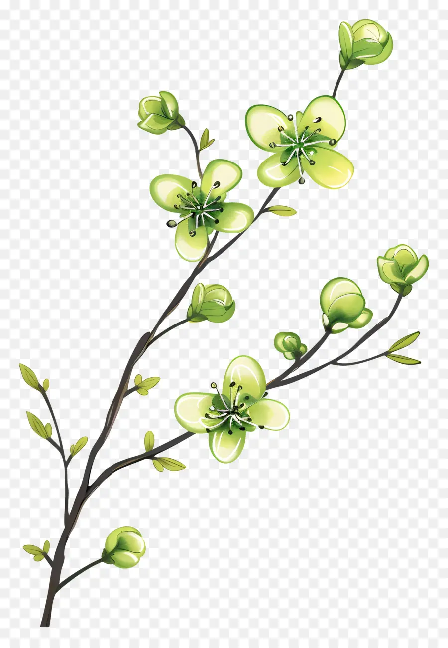 Flor Verde，Flores Verdes PNG