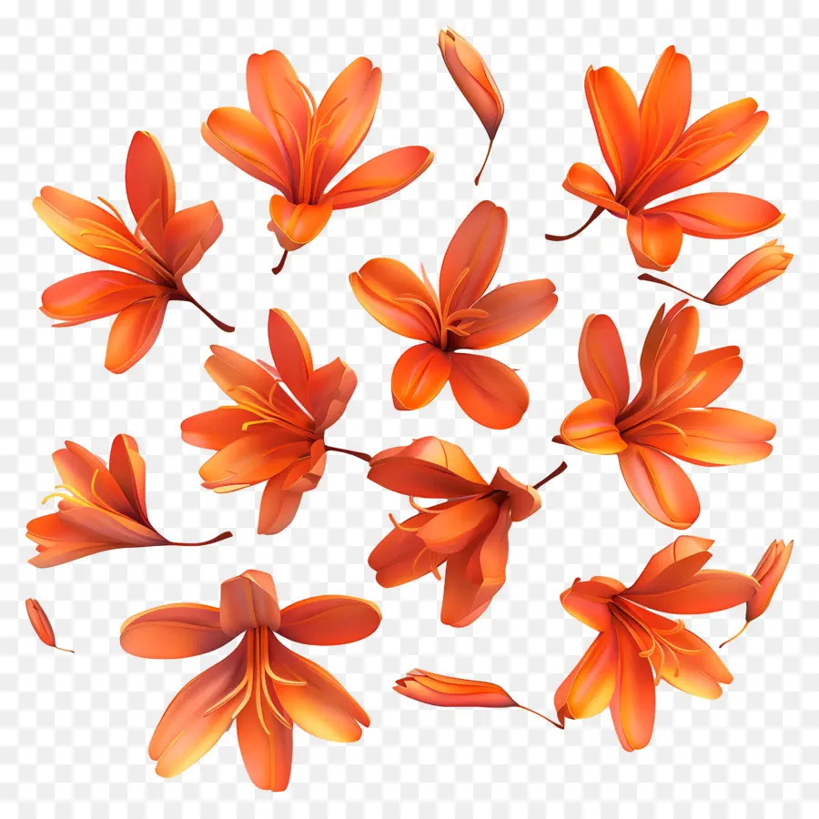 Flores De Azafrán，Flores De Naranja PNG