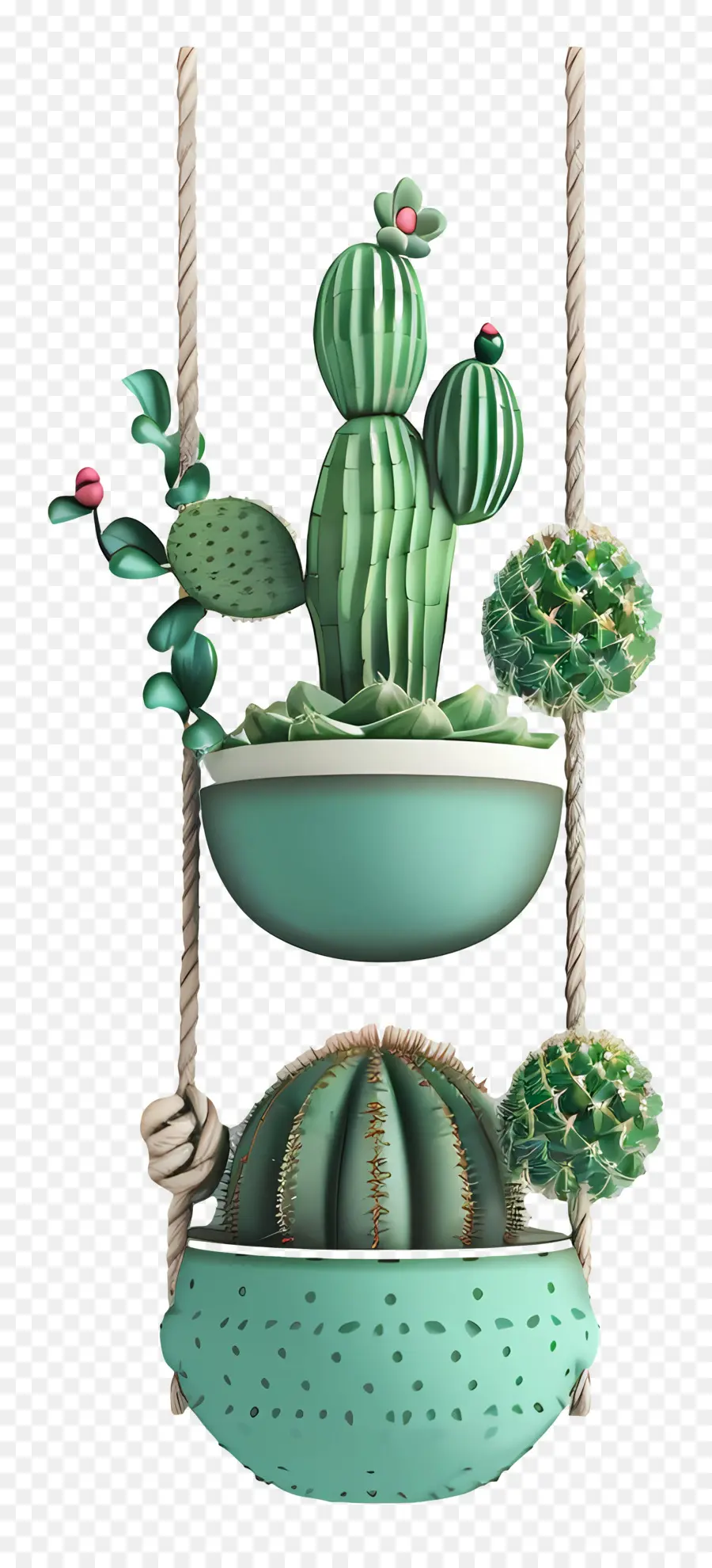 Cactus Colgantes，Plantas De Cactus PNG