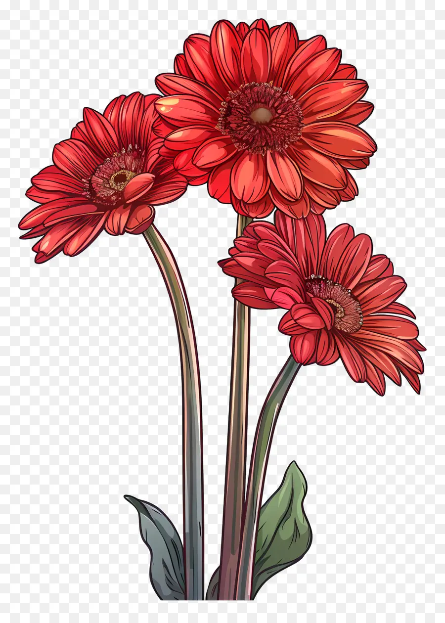 Flores Gerberas，Flores Rojas PNG