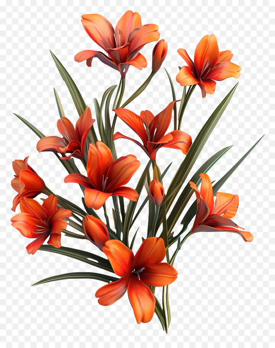 Flores De Azafrán，Flores Rojas PNG