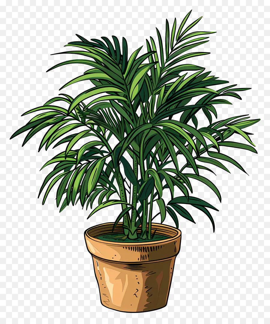 Palma De Salón，Planta En Maceta PNG