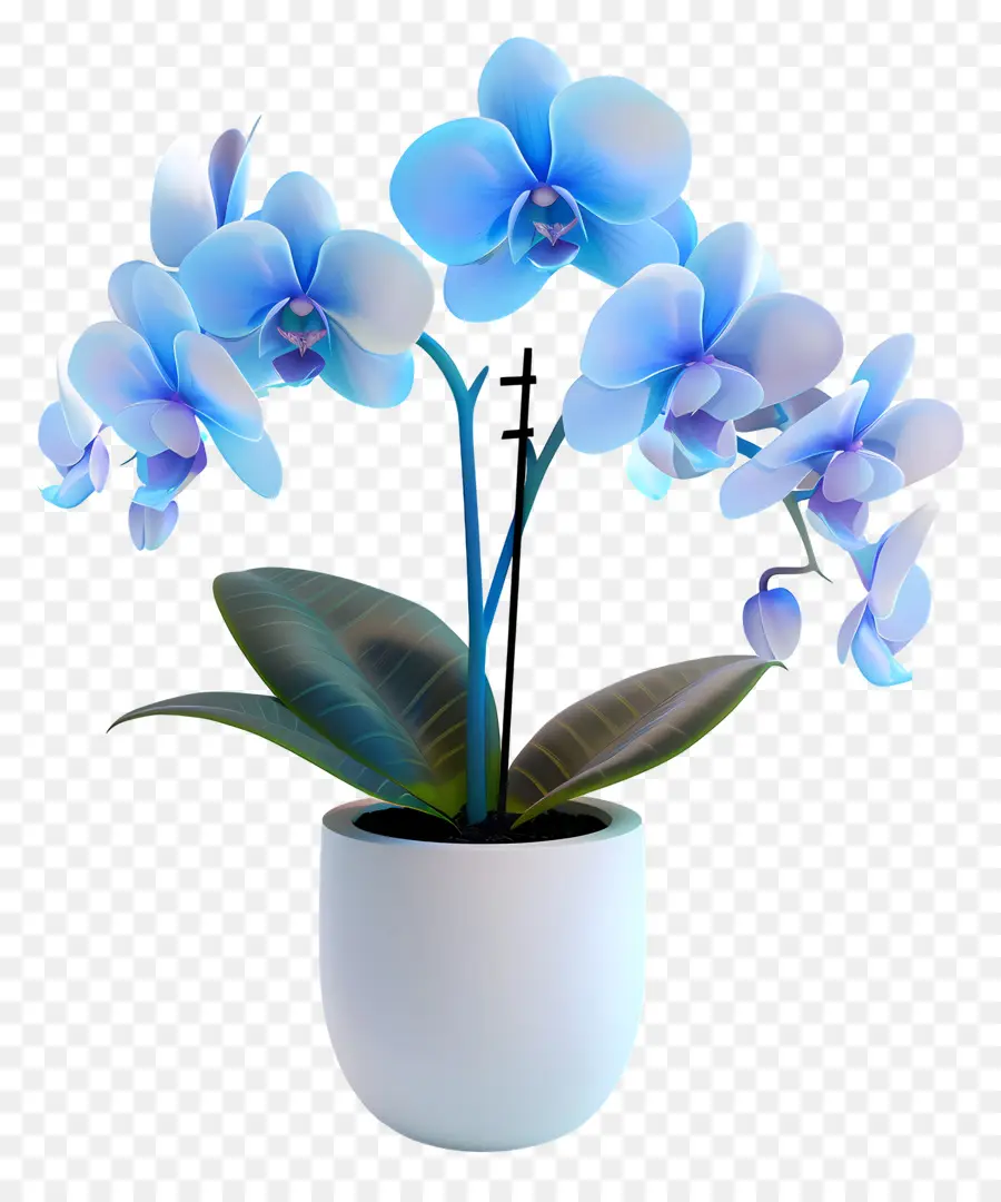 Orquídea Azul，Flor PNG