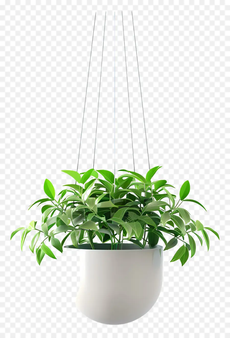 Planta En Maceta Suspendida，Planta Colgante PNG