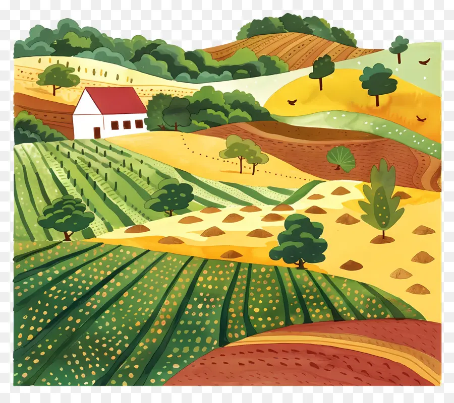 Paisaje De Tierras De Cultivo，Campo PNG