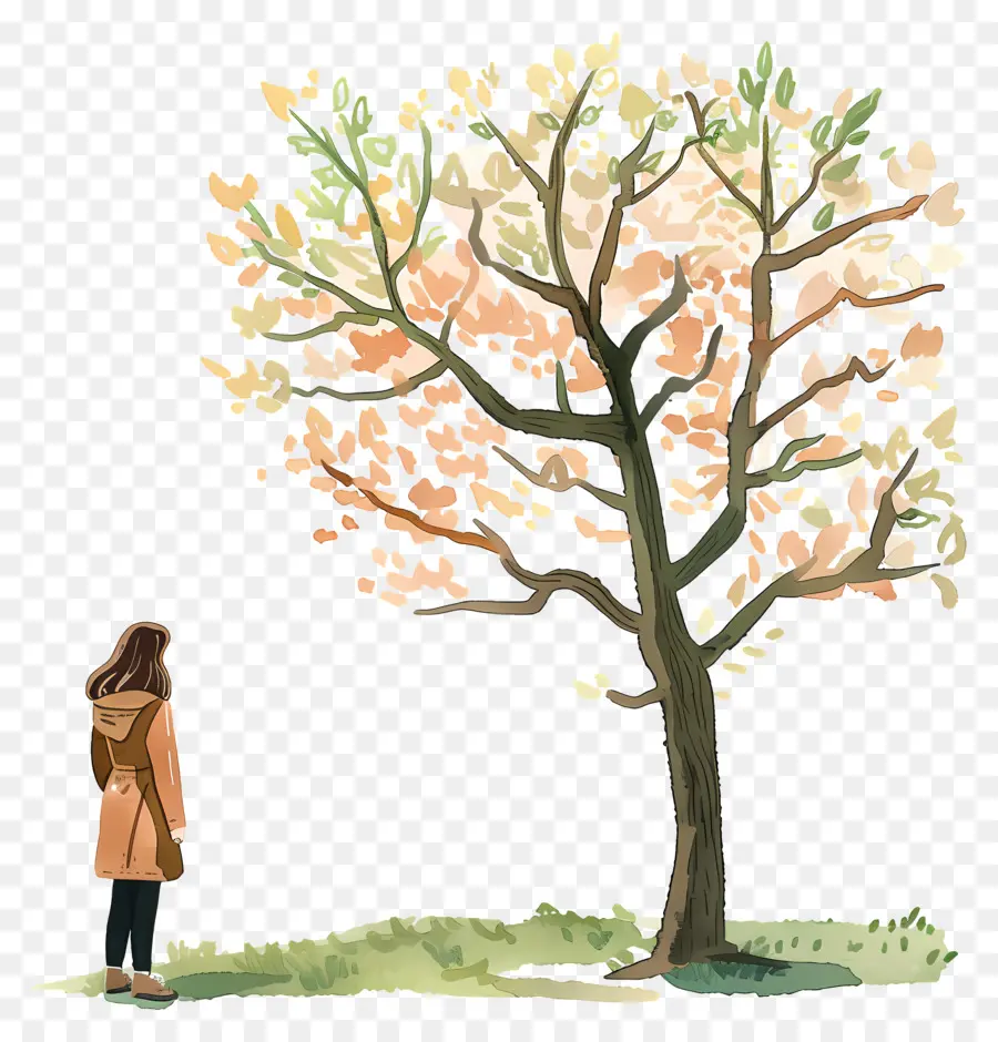 Mujer En Primavera，árbol Y Persona PNG