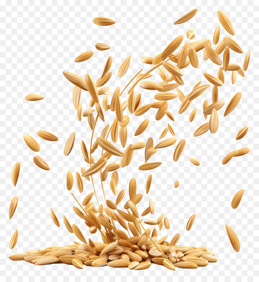 Granos De Arroz，Semillas PNG