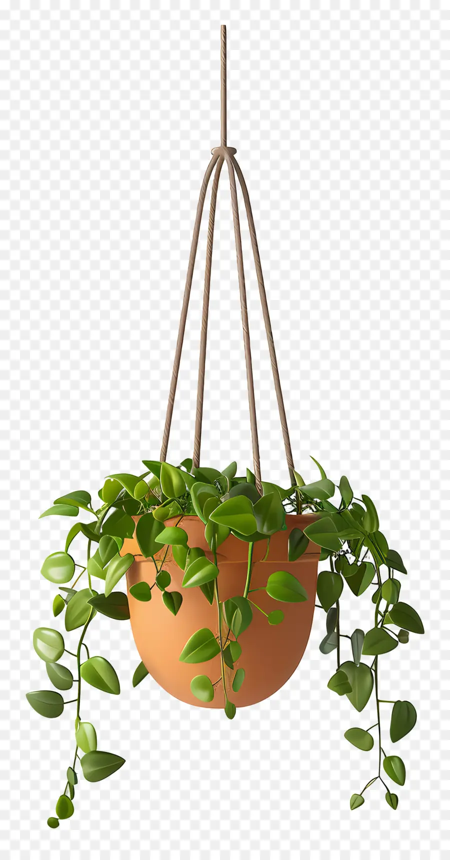 Planta En Maceta Suspendida，Planta Colgante PNG