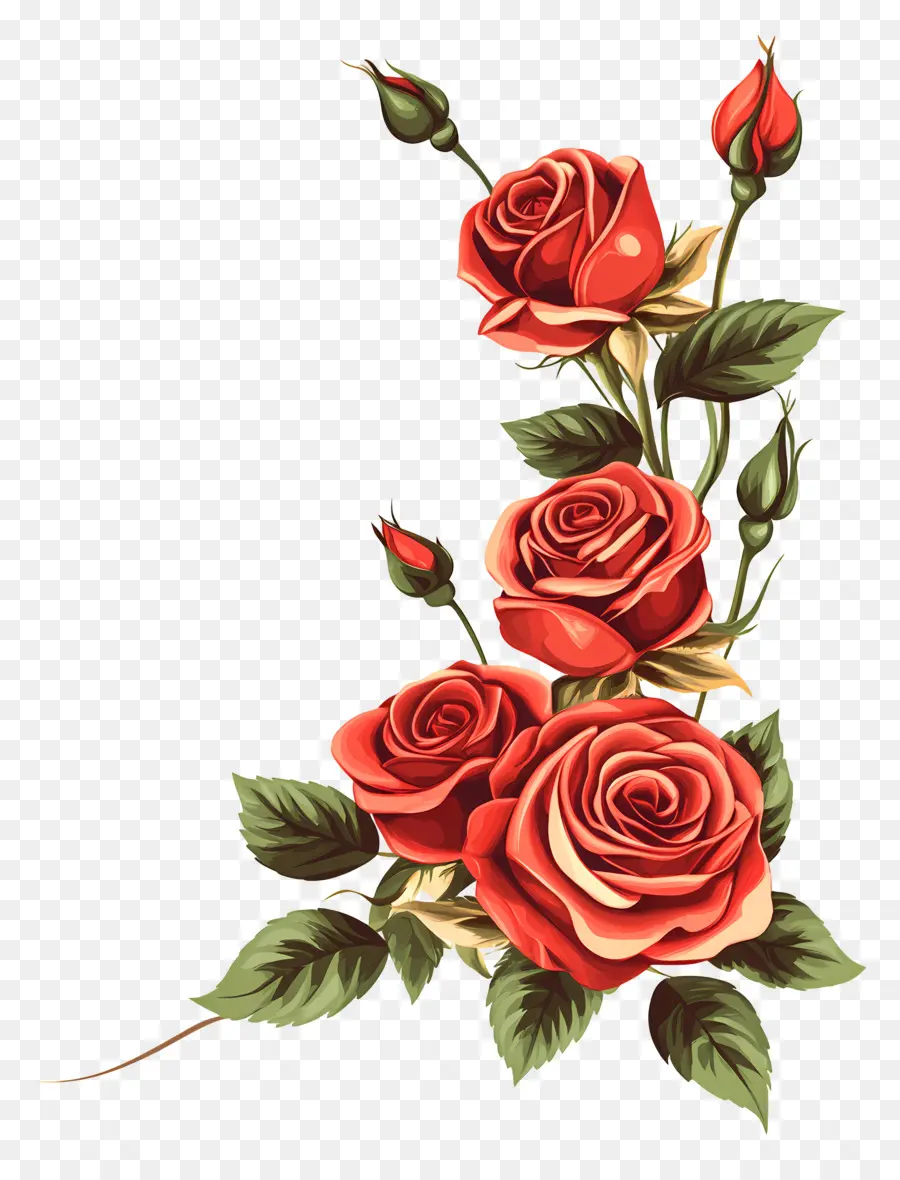 Rosa，Rosas Rosadas PNG