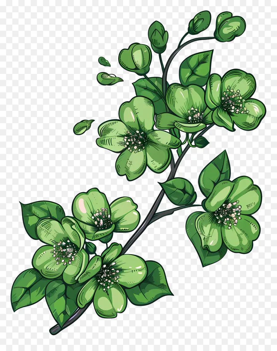 Flor Verde，Flores Verdes PNG