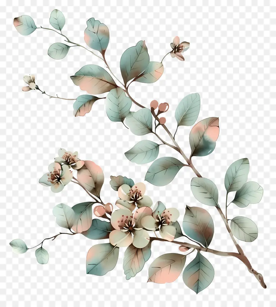 Flores Pastel，Flor PNG