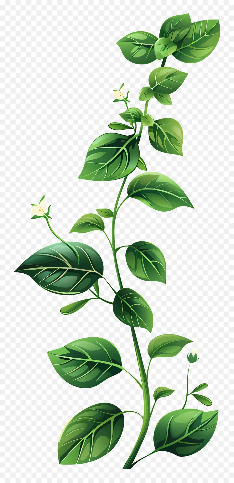 Flores Verdes，Planta Verde PNG