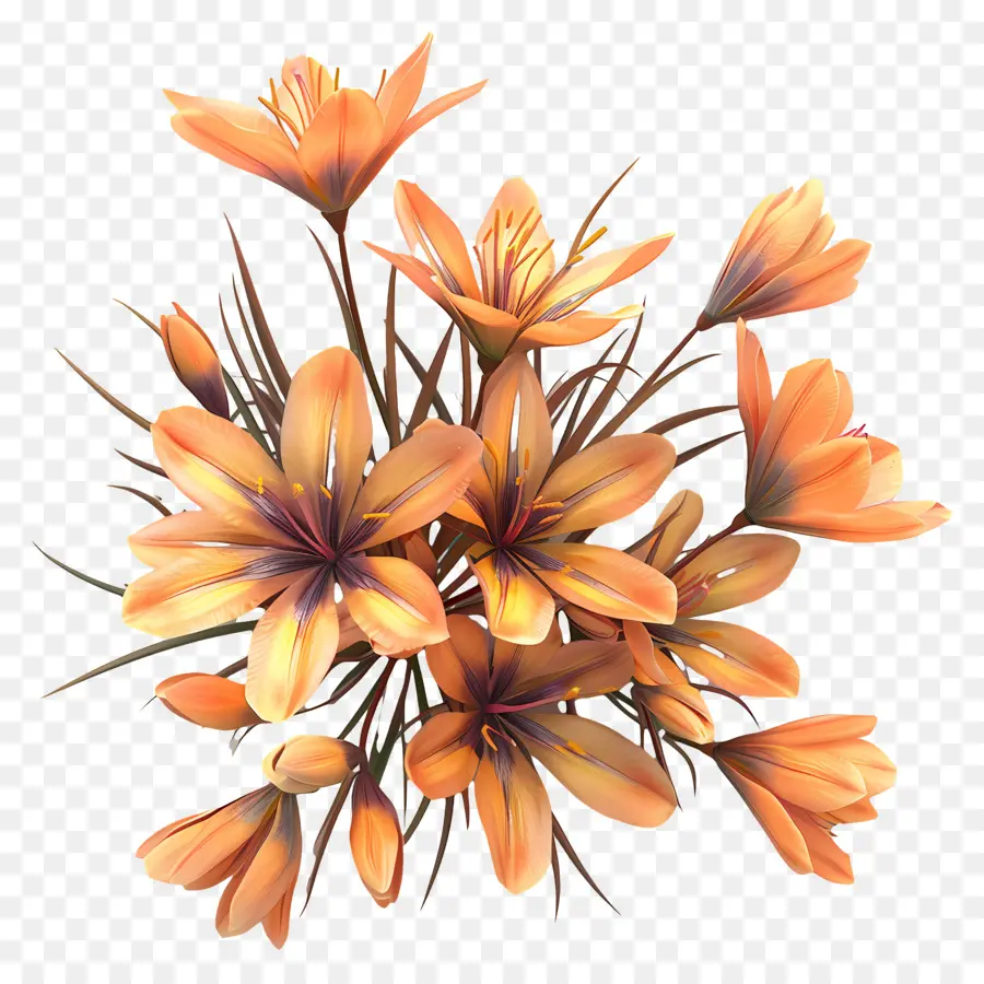 Flores De Azafrán，Flores PNG