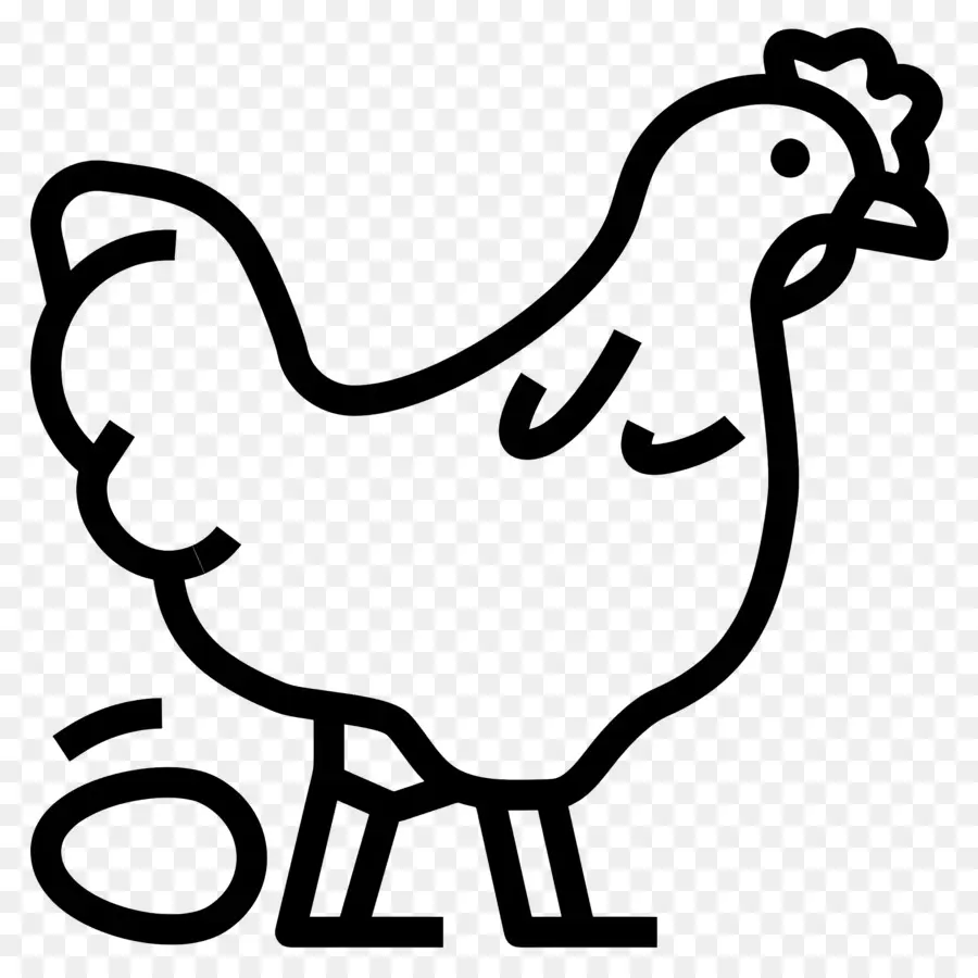 Pollo，Gallina PNG