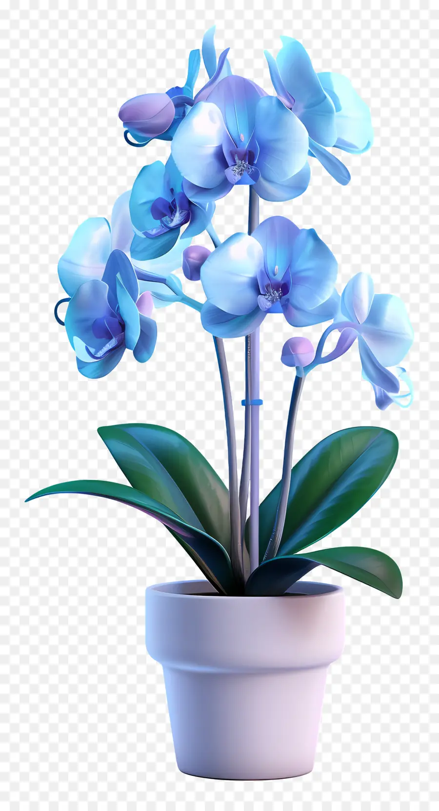 Orquídea Azul，Flor PNG