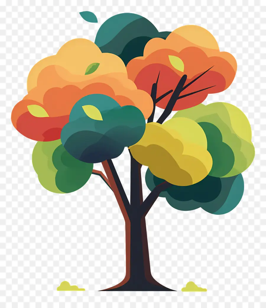 árbol Del Bosque，árbol Colorido PNG