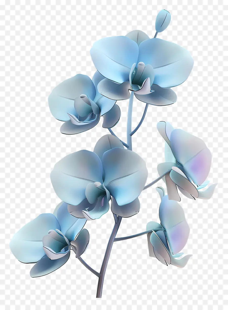 Orquídea Azul，Pétalos PNG