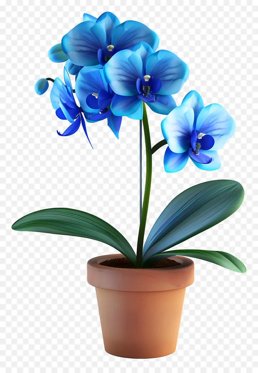 Orquídea Azul，Flor PNG