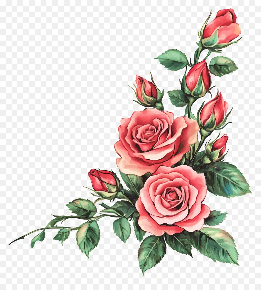 Rosa，Rosas Naranjas PNG