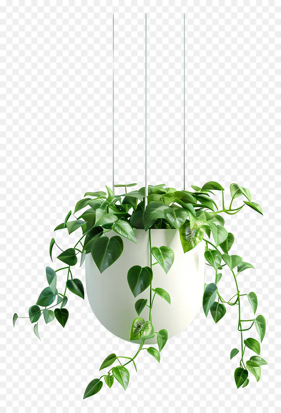 Planta En Maceta Suspendida，Planta Colgante PNG