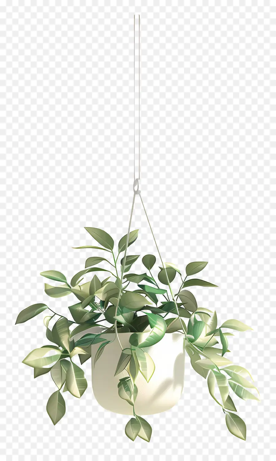 Planta En Maceta Suspendida，Planta Colgante PNG