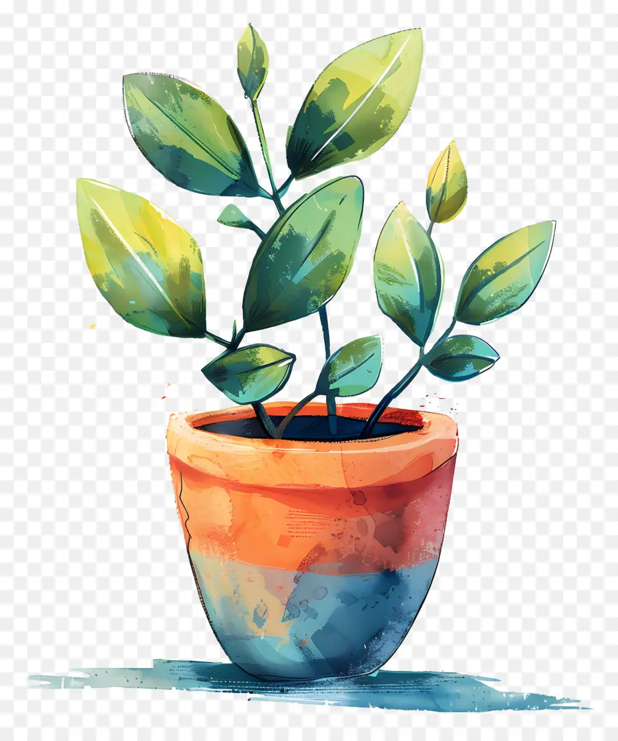 Maceta，Planta En Maceta PNG