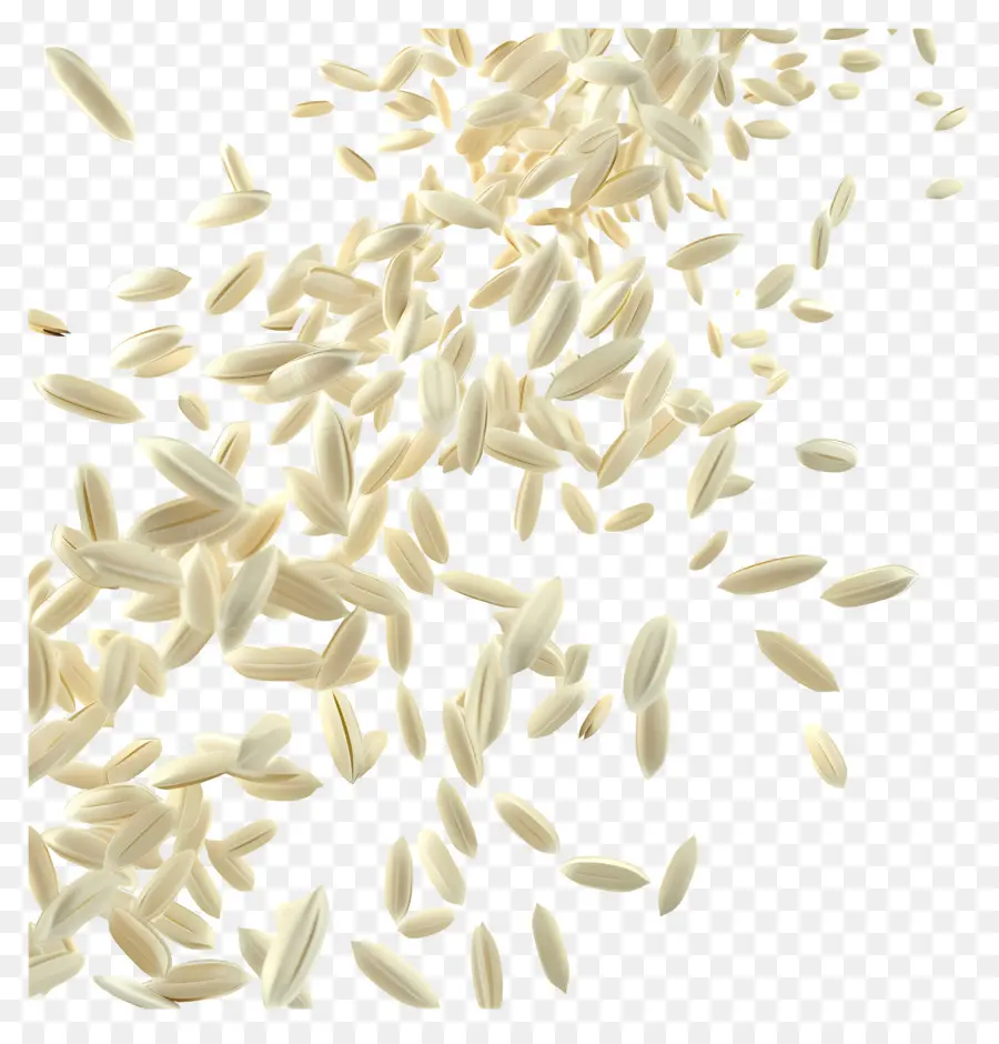 Granos De Arroz，Semillas PNG