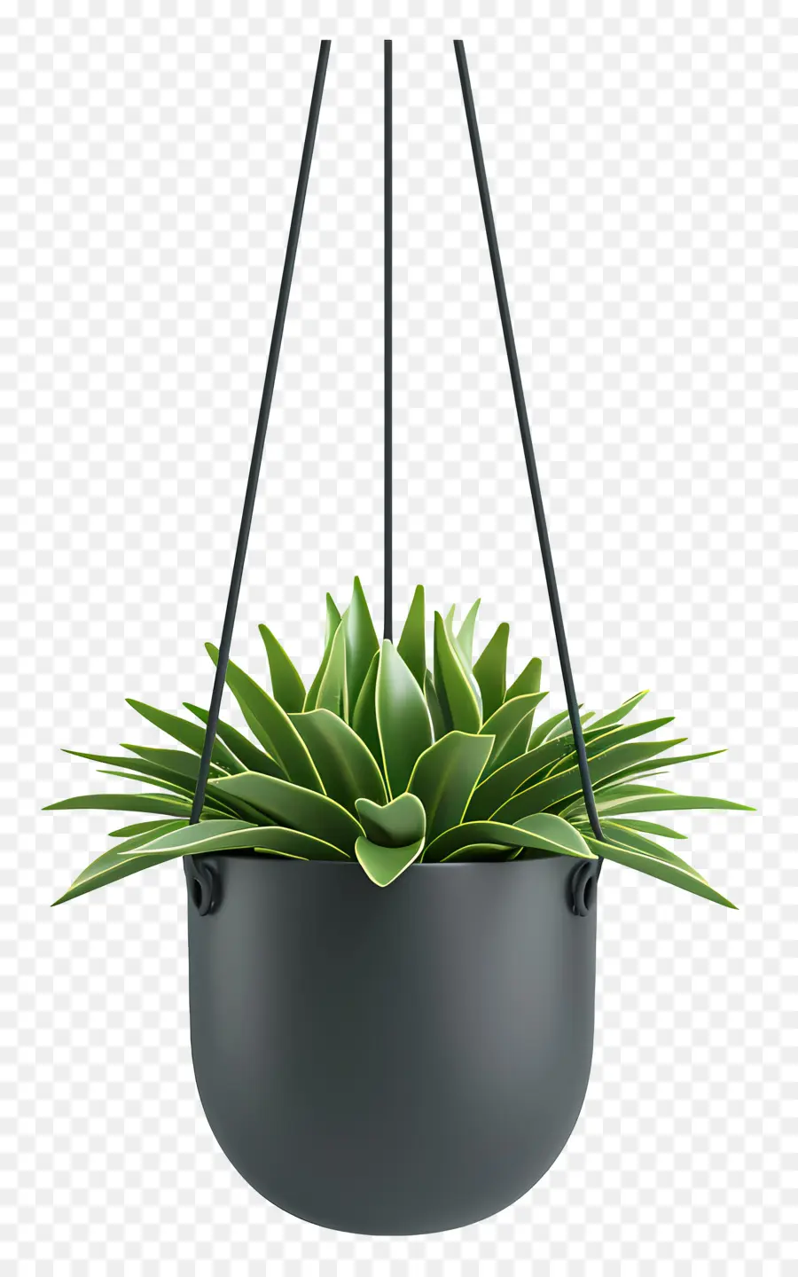 Planta En Maceta Suspendida，Planta Colgante PNG