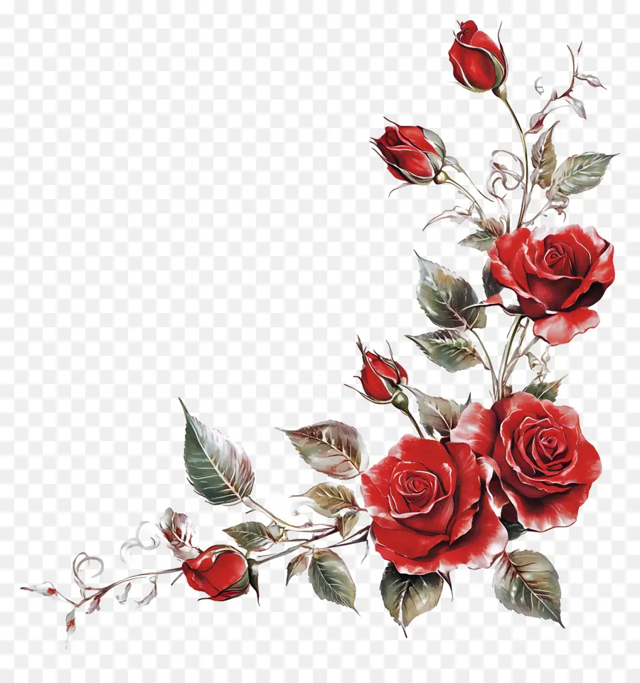 Rosa，Rosas Rojas PNG