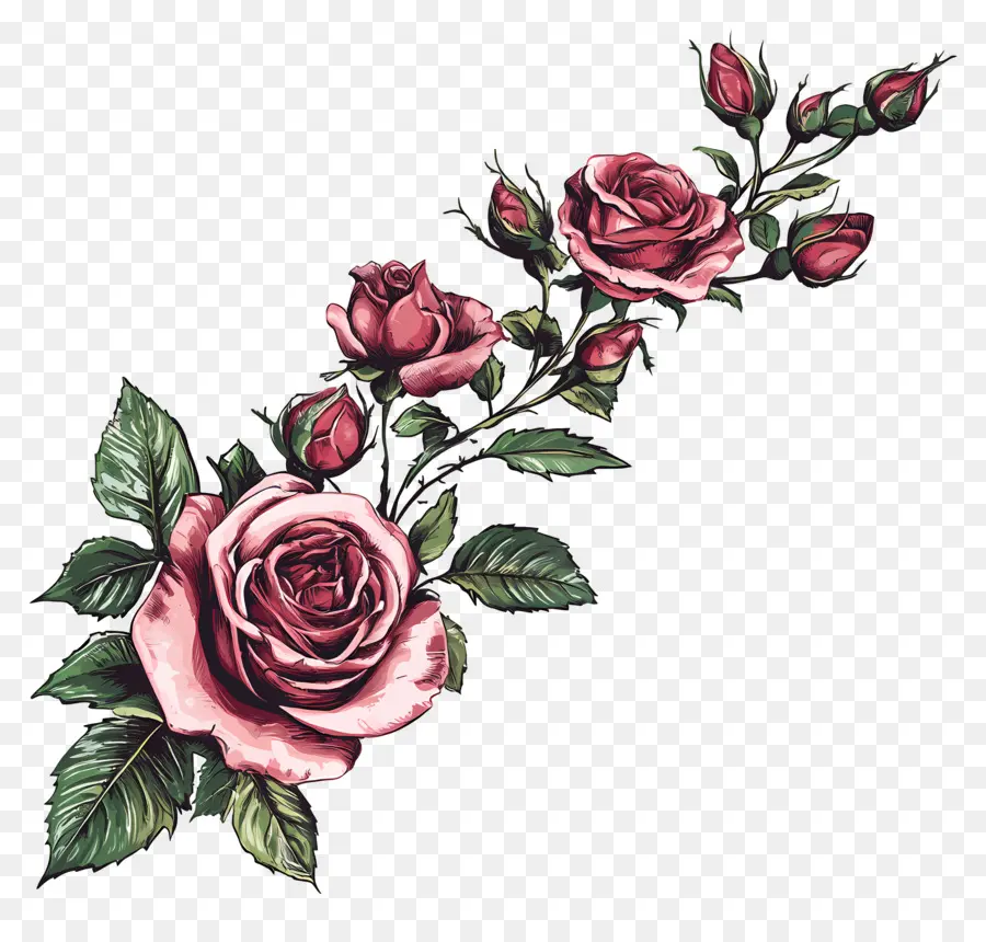 Rosa，Rosas Naranjas PNG