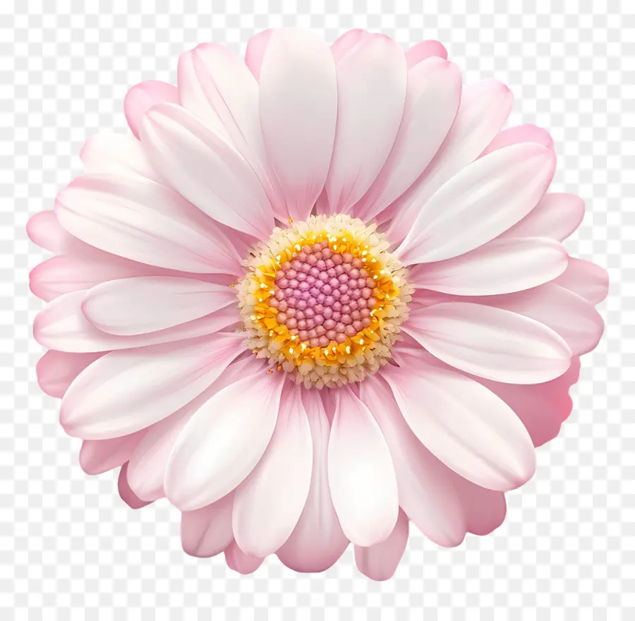 Buen Día，Flor PNG