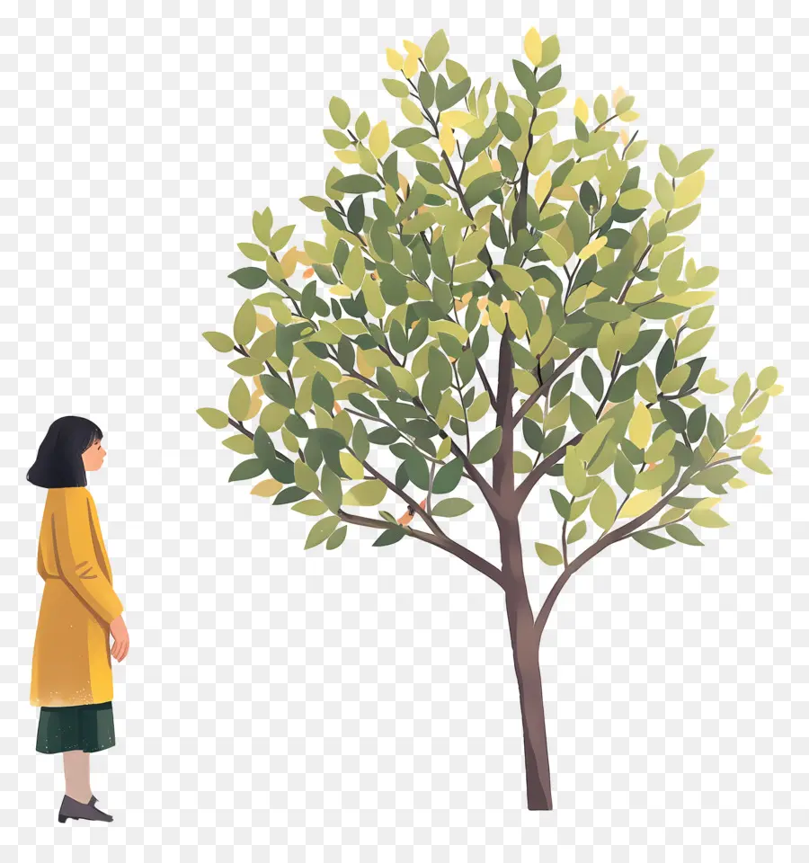 Mujer En Primavera，Mujer Y Arbol PNG