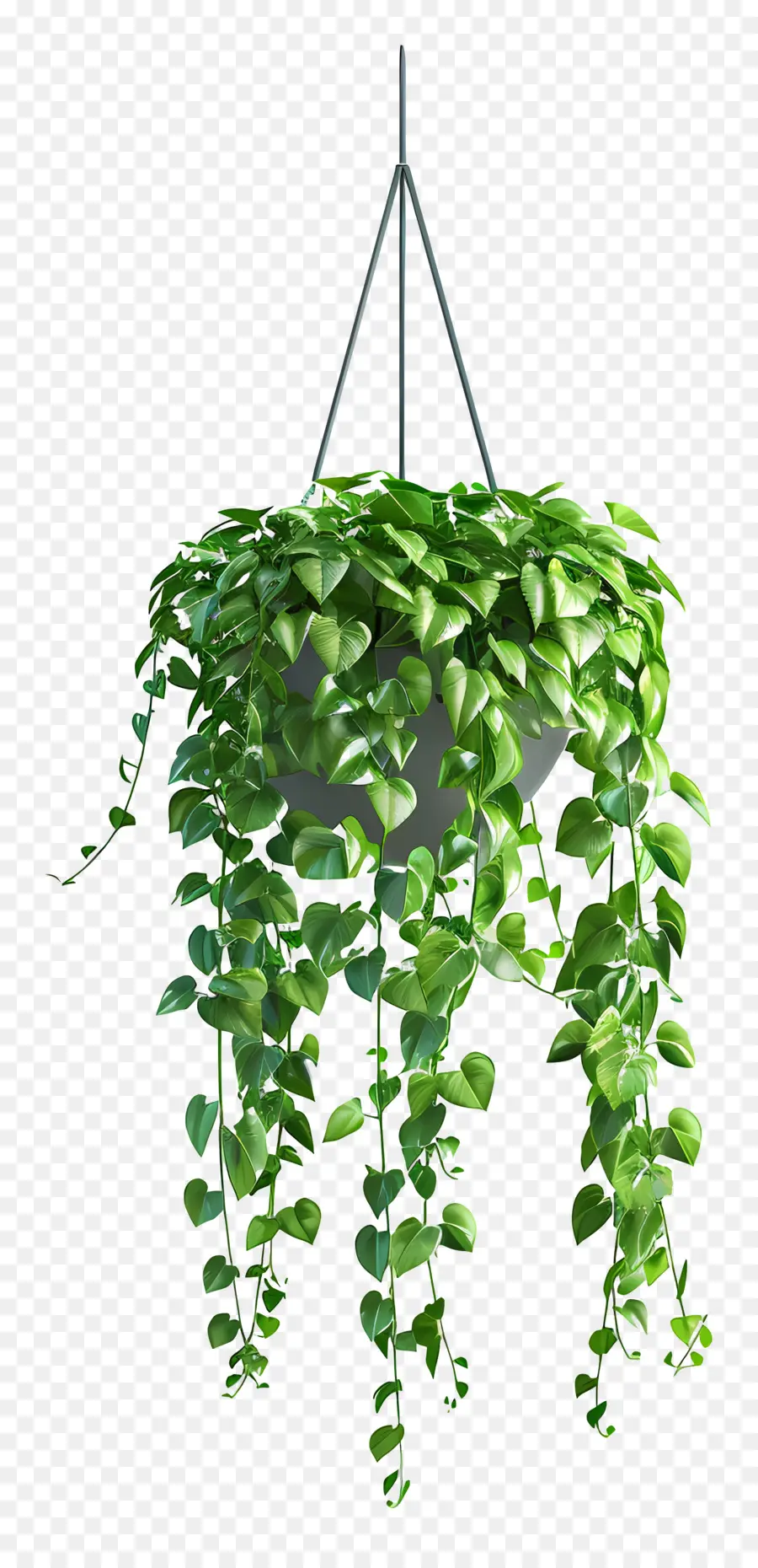 Planta En Maceta Suspendida，Planta Colgante PNG