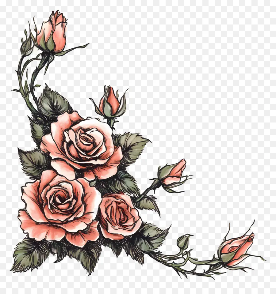 Rosa，Rosas Rojas PNG